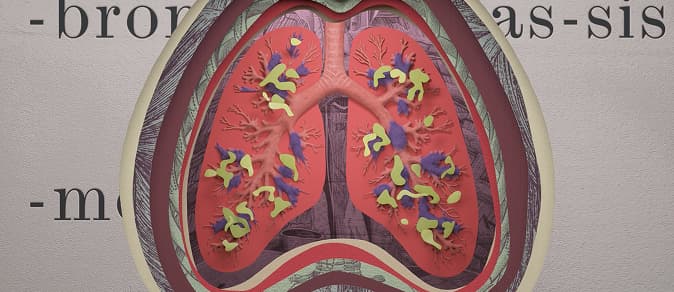 cross section of lungs with BE