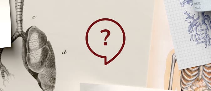 Is it BE? quiz thumbnail